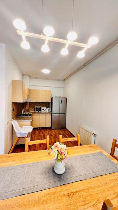 Otopeni Airport Apartment With Private Garden Exteriör bild